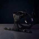 Black dog harness on a dark background